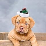 Poo4kark Eleganter Geburtstags Haarschmuck mit Spitzer Verzierung Perlen...