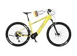 FISCHER E-Mountainbike MONTIS 8.0i, Elektrofahrrad für Damen und Herren,...