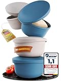LOEWERK Pizzaballenbox mit Deckel – 4er Set – atmungsaktive Teigbox...