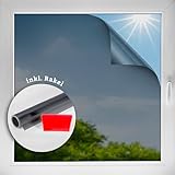 d-c-fix Tönungsfolie statisch haftend (90x200cm) Sonnenschutz Fensterfolie...