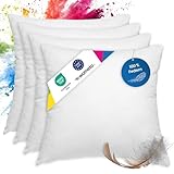 wometo 4er Set Federkissen 100% Federn 40x40-300g Oeko-TEX Sofakissen...