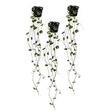 3er Set Ceropegia woodii, Leuchterblume