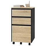 WOLTU mobiler Aktenschrank, Schrank für Aktenordner, Aufbewahrungsschrank...