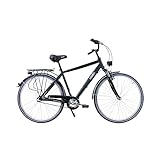 HAWK Citytrek Gent Premium Fahrrad Herren 28 Zoll I Leichtes Herren Fahrrad...