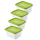 Rotho Domino 4er-Set Gefrierdosen 0.75l mit Deckel, Kunststoff (PP)...