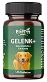 BiviPet GELENK+ – Gelenktabletten für Hunde mit Grünlippmuschel, MSM,...