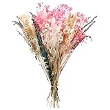 Trockenblumen zum Basteln Natürliche Getrocknete Blumen Trockenblumen...