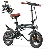 ESKUTE E Bike Herren F200, 14 Zoll Klapprad Elektrofahrrad, 36V 7.8Ah Akku...