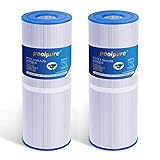 POOLPURE 2 stück Spa Hot Tub Filter 4-Unzen-Filtermedien Ersatz für...