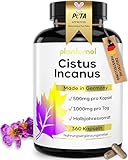 360x Cistus Incanus Kapseln hochdosiert - 1000mg reines Zistrosenkraut pro...
