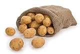 Speisekartoffel BELANA festkochend 10Kg Beutel