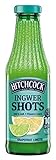 Hitchcock Ingwer Shot Grapefruit, 500 ml