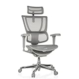 hjh OFFICE Bürostuhl ergonomisch ERGOHUMAN Slim Ultra G GEN2 Originales...