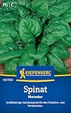 Kiepenkerl Spinatsamen Matador 1007950 - Robuste Gemüsesamen für...