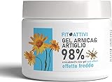 Arnika Gel Forte 98% Erkältungswirkung 550 ml mit Teufelskralle, Vitamin E...