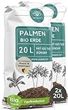 Bio Palmenerde 40 L (2x20L) - Blumenerde Zimmerpflanzen Erde aus 45%...