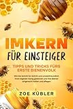 IMKERN FÜR EINSTEIGER -Tipps und Tricks fürs erste Bienenvolk: Wie Sie...