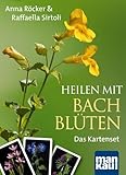 Heilen mit Bachblüten. Das Kartenset. Mit 42 Bachblüten-Karten und...