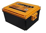 LIONTRON LiFePO4 12,8V 200Ah LX Arctic Under seat Battery; 2560Wh; geeignet...