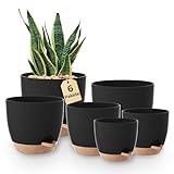 Bamworld Blumentöpfe 6 Set Selbstbewässernd Schwarz...