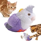 Katzenspielzeug für Indoor-Katzen, interaktives Katzenspielzeug,...