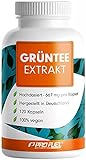 Grüntee Extrakt 120x Grüner Tee Kapseln - 1333 mg pro Tag, davon 600 mg...