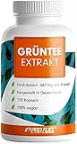 Grüntee Extrakt 120x Grüner Tee Kapseln - 1333 mg pro Tag, davon 600 mg...