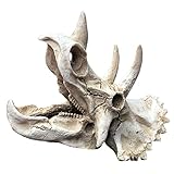 Abaodam Dinosaur Skull Aquarium Ornament Hochwertige Resindekoration für...