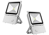 Greenmigo 2x 100W Fluter Strahler Warmweiß Silbergrau Aluminium Gehäuse...