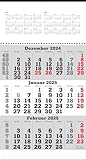 2025 ADINA Wandkalender 49x30cm (3-Monate 49x30cm)