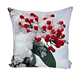 CB Home & Style Outdoor Garten Kissen Wasserabweisend 45 x 45 cm...