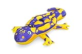 Bestway Schwimmtier Splashing Salamander 191 x 119 cm