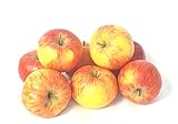 Äpfel Topaz vom Bodensee süß-säuerlicher Apfel 8 KG