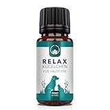 Saint Nutrition® Relax Kügelchen für Haustiere – Natürlicher...