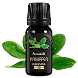Aromaholik Kampferöl BIO 100% naturrein – Ätherische Öle für Diffuser...