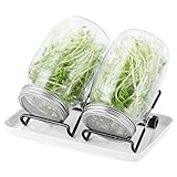 Sprossenglas Set|2er-Set 1000ml Keimglas mit Deckeln und Haltern und...