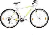 Multibrand Distribution Probike PRO 29 Zoll Fahrrad Mountainbike 21 Gang,...