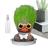 Holdes Graskopfpuppenpflanze, wachsende Graskopf -Puppenpflanze, Mini...