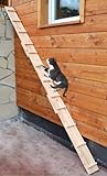 Ruhti - Katzentreppe Katzenleiter Katzenstufe für Balkon, Treppe etc.| 1...