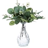 KALIONE 12 Stück künstliche Eukalyptus blätter in Silberdollarform,...