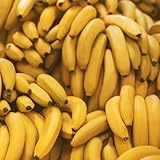 150 Pcs Bananensamen Bananenbaum Winterhart - Bio Saatgut, Alte Sorten...