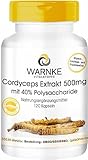Cordyceps Extrakt 500 mg - 120 Kapseln, standardisiert auf 40%...