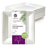 GoBeTree 100 quadratische Weiße Teller aus Zuckerrohr 26 cm, Extra...