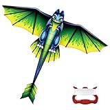 Flintronic Drachen, Drachen für Kinder und Erwachsene, Fliegender Drache...