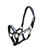 Reinecke Equestrian Premium Leuchthalfter Reflexhalfter Sicherheitshalfter...