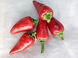 Seeds 25+ Organic Piment D'Espelette Basque Treasure Pepper Seeds -D 72:...