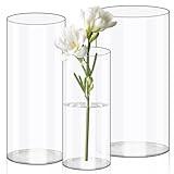 Olrla 3 Teiliges Set Transparente Acryl Blumenvase, Bruchsichere...
