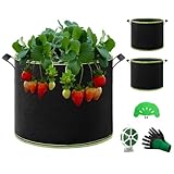 QCR Tomaten kübel, 3 Stück 12 L Pflanztasche Pflanzsack mit Griffe...