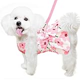 Hundekleid für weibliche Kleine Hunde,Hund Kleider Geschirr und Leine,Dog...