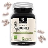 RHODIOLA ROSEA BIO * 60 pflanzliche kapseln * Ermüdung + Konzentration +...